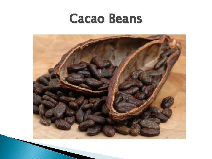 Cacao Beans 