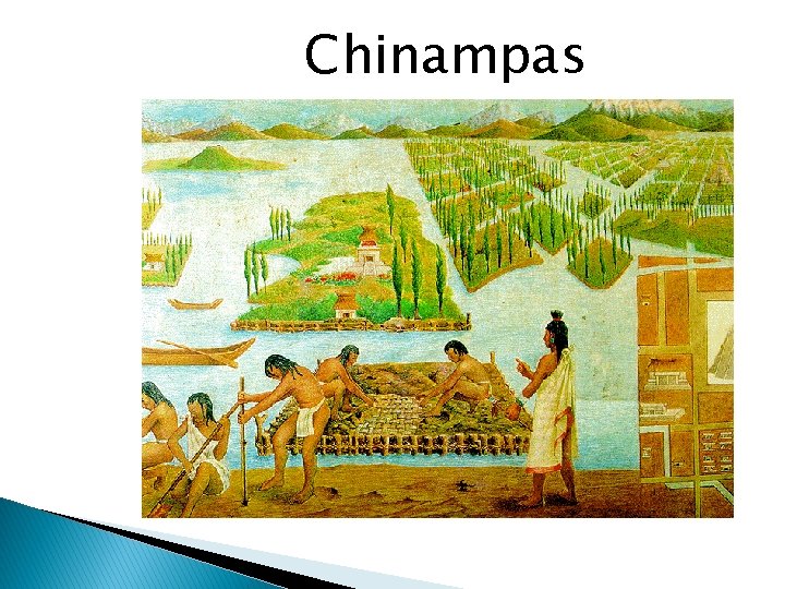 Chinampas 