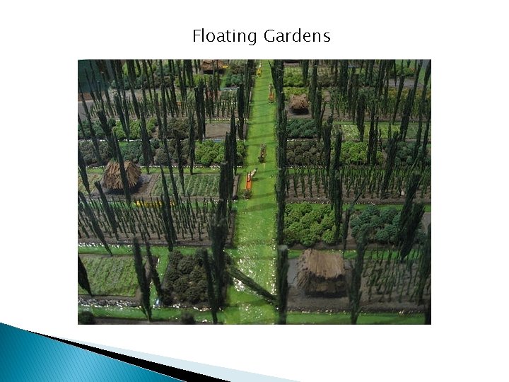Floating Gardens 