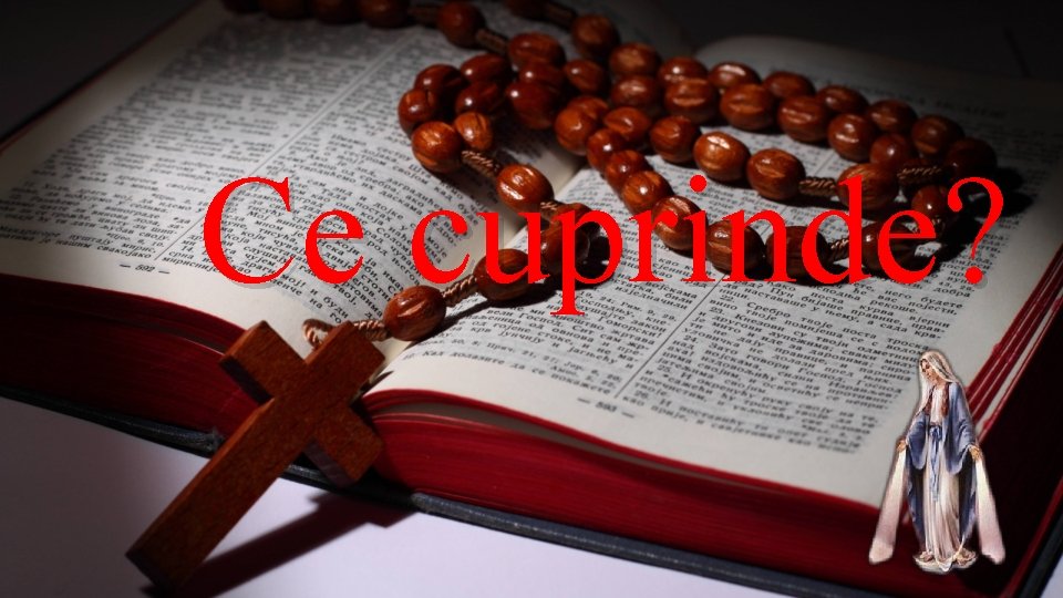 Ce cuprinde? Ce cuprinde?