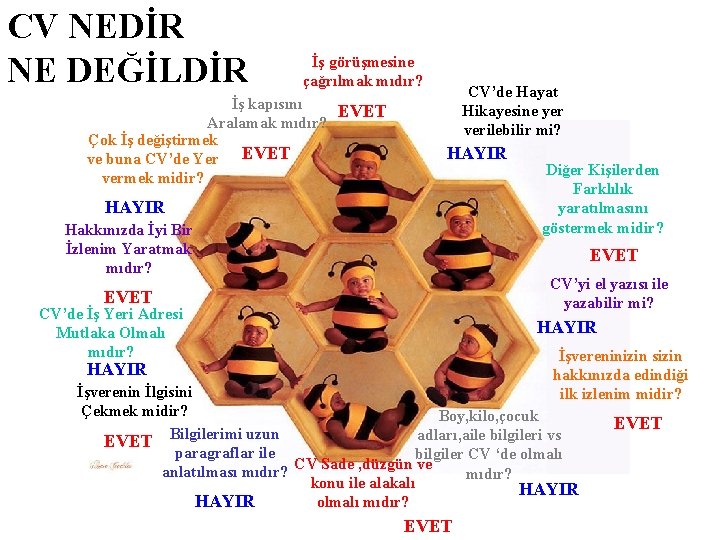 CV NEDİR NE DEĞİLDİR İş görüşmesine çağrılmak mıdır? İş kapısını EVET Aralamak mıdır? Çok