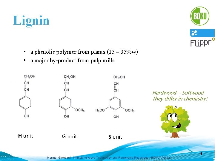 Lignin • a phenolic polymer from plants (15 – 35%w) • a major by-product