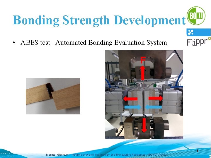 Bonding Strength Development • ABES test– Automated Bonding Evaluation System F 6 Marmar Ghorbani