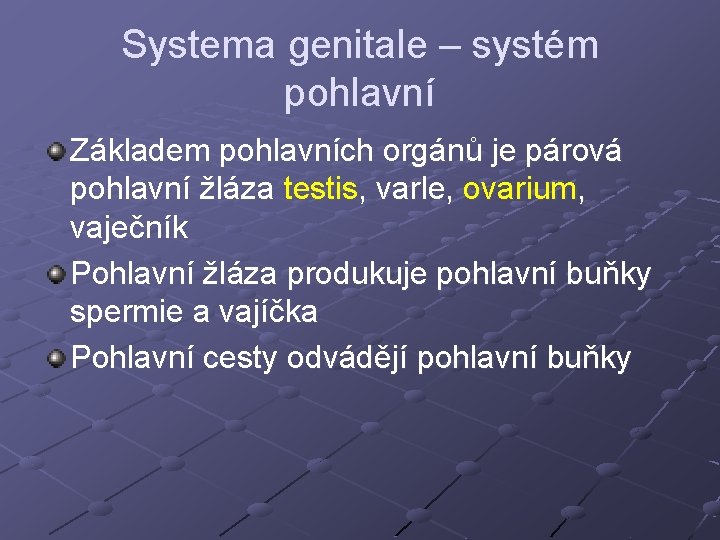 Systema genitale – systém pohlavní Základem pohlavních orgánů je párová pohlavní žláza testis, varle, Systema genitale – systém pohlavní Základem pohlavních orgánů je párová pohlavní žláza testis, varle,