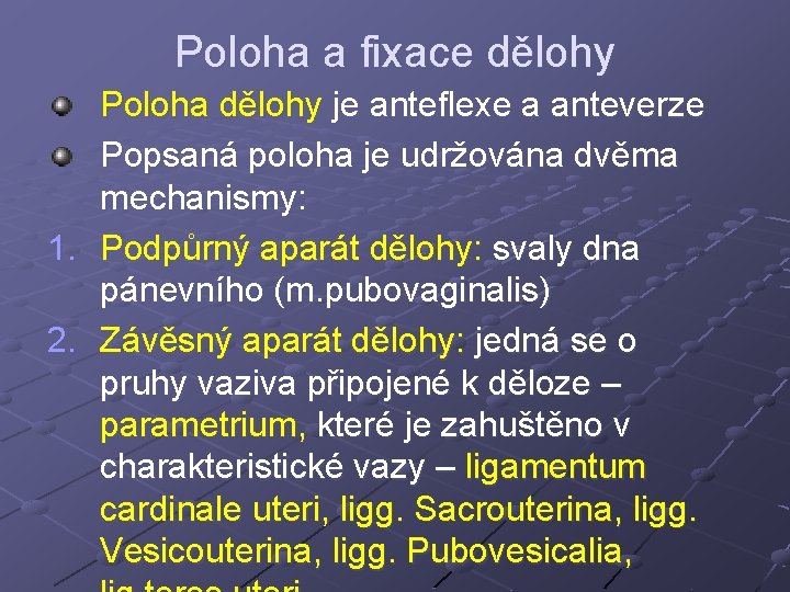 Poloha a fixace dělohy Poloha dělohy je anteflexe a anteverze Popsaná poloha je udržována Poloha a fixace dělohy Poloha dělohy je anteflexe a anteverze Popsaná poloha je udržována