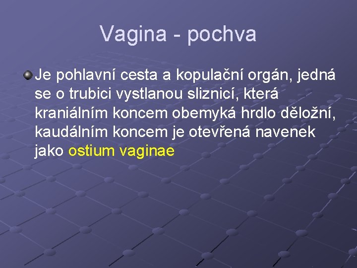 Vagina - pochva Je pohlavní cesta a kopulační orgán, jedná se o trubici vystlanou Vagina - pochva Je pohlavní cesta a kopulační orgán, jedná se o trubici vystlanou
