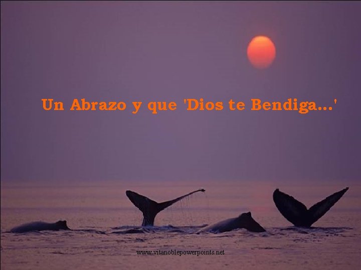 Un Abrazo y que 'Dios te Bendiga. . . ' www. vitanoblepowerpoints. net 