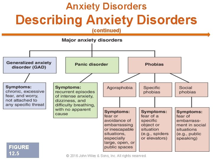 Anxiety Disorders Describing Anxiety Disorders (continued) FIGURE 12. 5 © 2016 John Wiley &