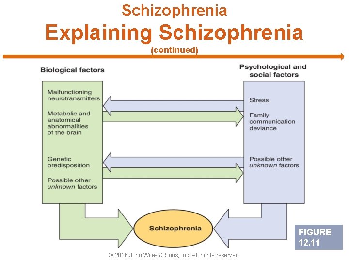 Schizophrenia Explaining Schizophrenia (continued) FIGURE 12. 11 © 2016 John Wiley & Sons, Inc.