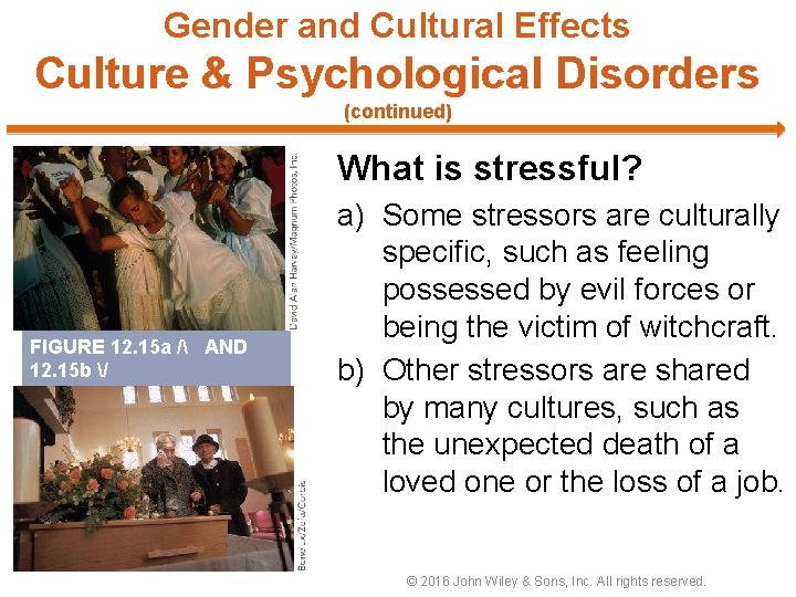Gender and Cultural Effects Culture & Psychological Disorders (continued) What is stressful? FIGURE 12.