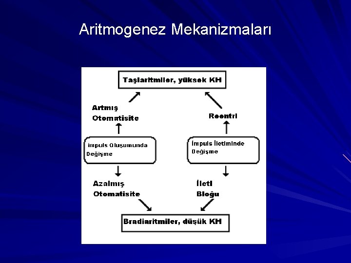 Aritmogenez Mekanizmaları Aritmogenez Mekanizmaları