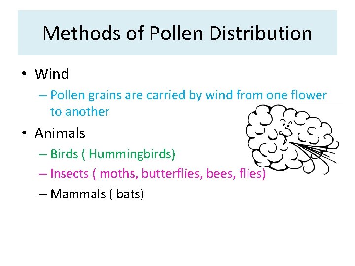 Methods of Pollen Distribution • Wind – Pollen grains are carried by wind from