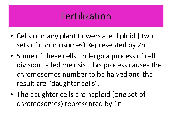 Fertilization • Cells of many plant flowers are diploid ( two sets of chromosomes)