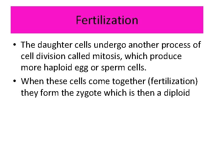 Fertilization • The daughter cells undergo another process of cell division called mitosis, which
