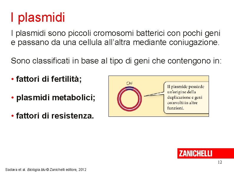 I plasmidi sono piccoli cromosomi batterici con pochi geni e passano da una cellula