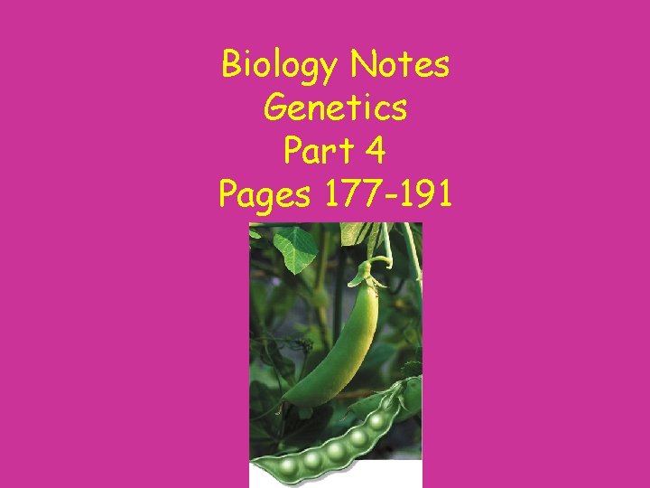 Biology Notes Genetics Part 4 Pages 177 -191 