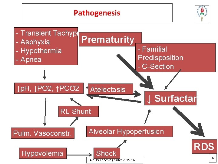 Pathogenesis - Transient Tachypnea Prematurity - Asphyxia - Familial - Hypothermia Predisposition - Apnea