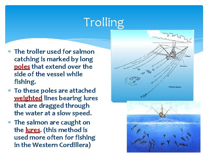 Trolling The troller used for salmon catching is marked by long poles that extend Trolling The troller used for salmon catching is marked by long poles that extend