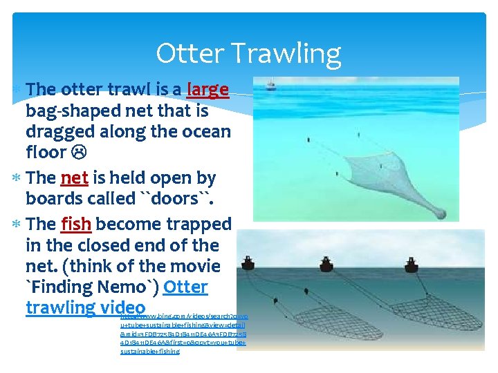 Otter Trawling The otter trawl is a large bag-shaped net that is dragged along Otter Trawling The otter trawl is a large bag-shaped net that is dragged along