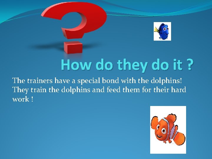 How do they do it ? The trainers have a special bond with the