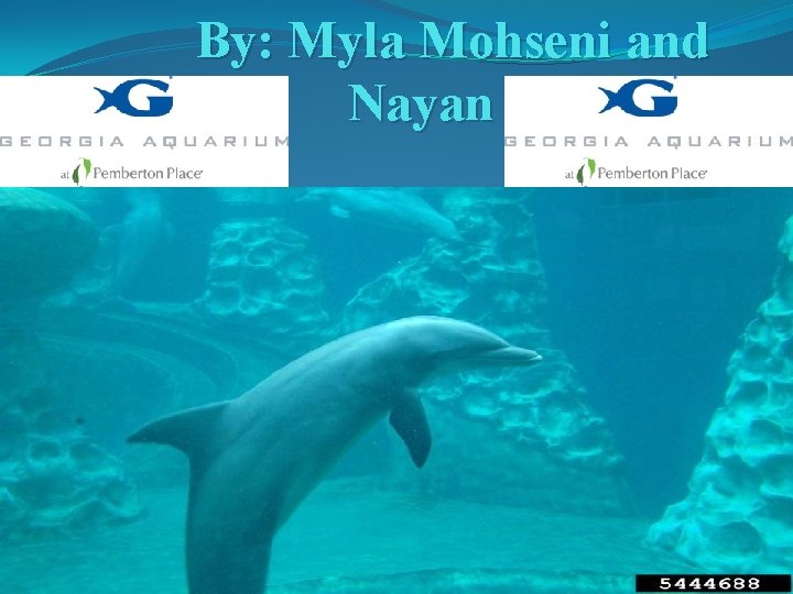 By: Myla Mohseni and Nayan Magdum 