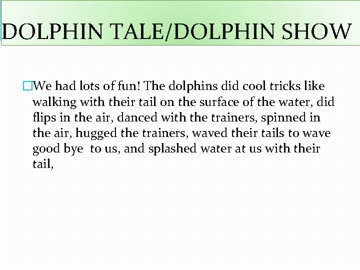 DOLPHIN TALE/DOLPHIN SHOW �We had lots of fun! The dolphins did cool tricks like