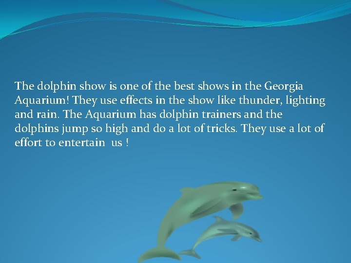 The dolphin show is one of the best shows in the Georgia Aquarium! They