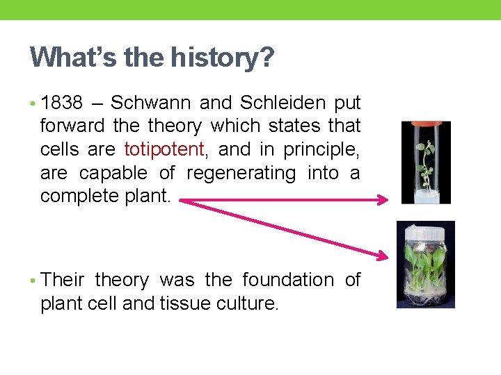 What’s the history? • 1838 – Schwann and Schleiden put forward theory which states