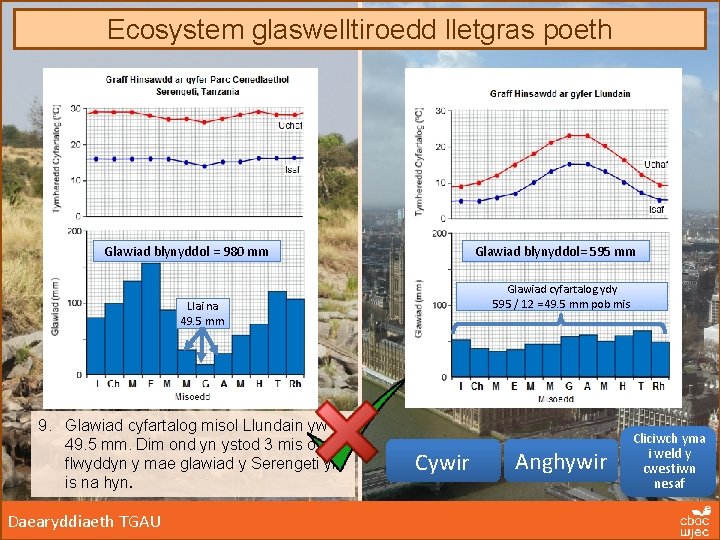 Ecosystem glaswelltiroedd lletgras poeth Glawiad blynyddol = 980 mm Glawiad blynyddol= 595 mm Glawiad