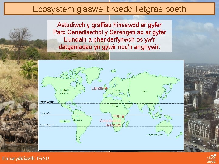 Ecosystem glaswelltiroedd lletgras poeth Astudiwch y graffiau hinsawdd ar gyfer Parc Cenedlaethol y Serengeti