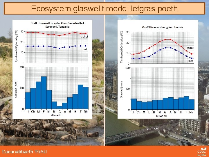 Ecosystem glaswelltiroedd lletgras poeth Daearyddiaeth TGAU 