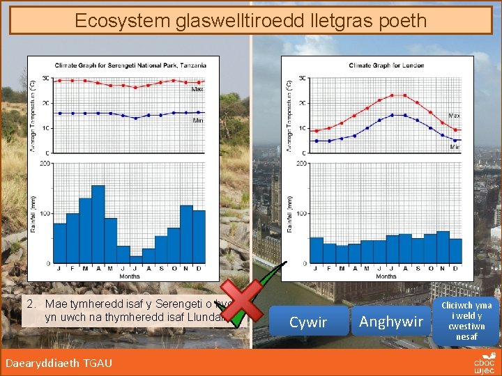 Ecosystem glaswelltiroedd lletgras poeth 2. Mae tymheredd isaf y Serengeti o hyd yn uwch