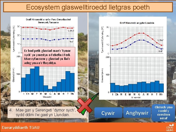 Ecosystem glaswelltiroedd lletgras poeth Er bod peth glawiad mae'r 'tymor sych' yn ymestyn o