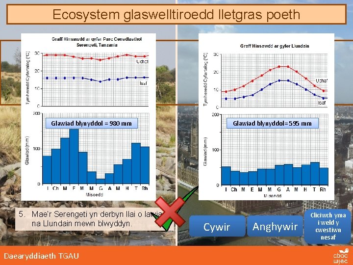 Ecosystem glaswelltiroedd lletgras poeth Glawiad blynyddol = 980 mm 5. Mae’r Serengeti yn derbyn