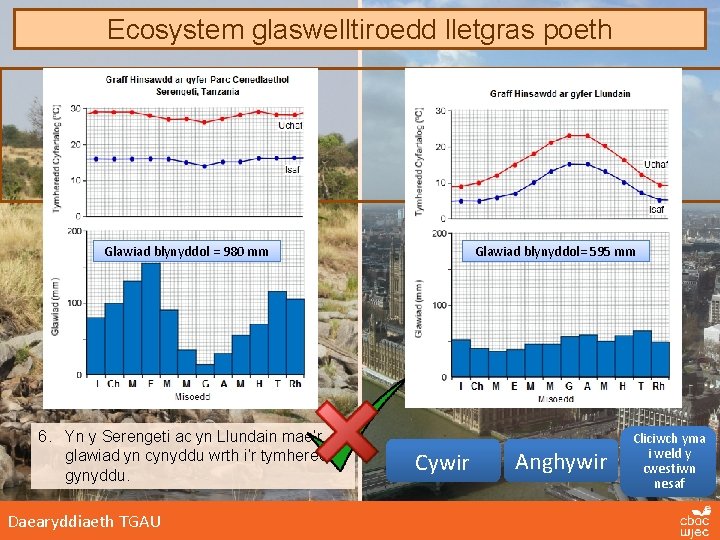 Ecosystem glaswelltiroedd lletgras poeth Glawiad blynyddol = 980 mm 6. Yn y Serengeti ac