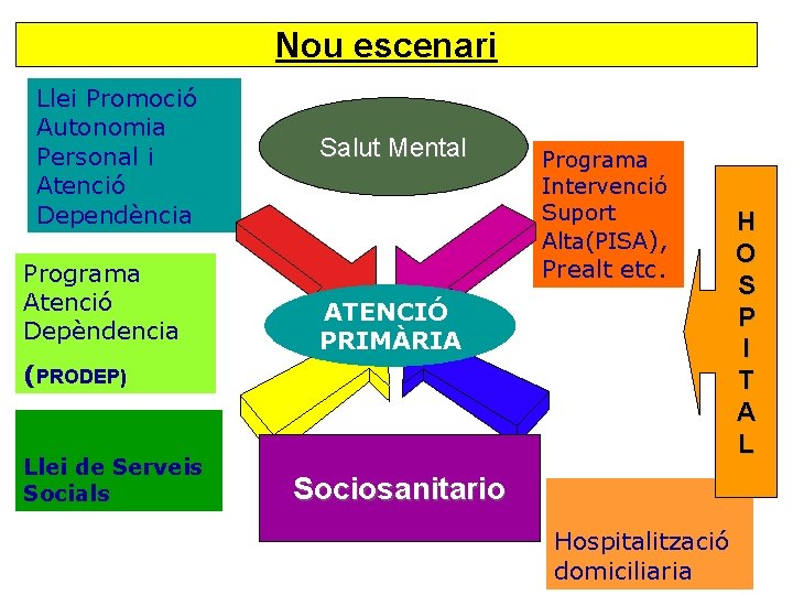 Nou escenari Llei Promoció Autonomia Personal i Atenció Dependència Programa Atenció Depèndencia Salut Mental
