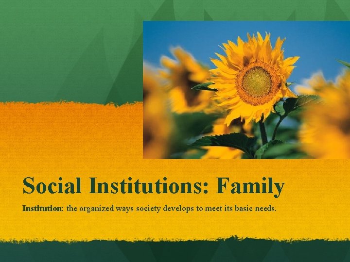 Social Institutions: Family Institution: the organized ways society develops to meet its basic needs.