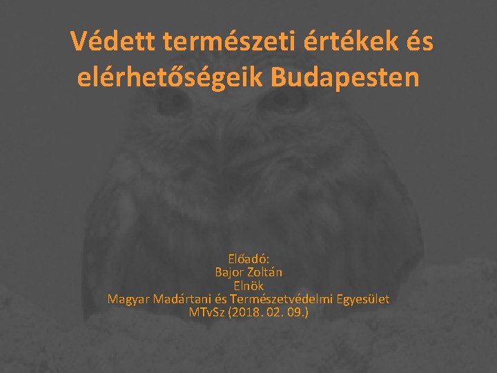 Védett természeti értékek és elérhetőségeik Budapesten Előadó: Bajor Zoltán Elnök Magyar Madártani és Természetvédelmi