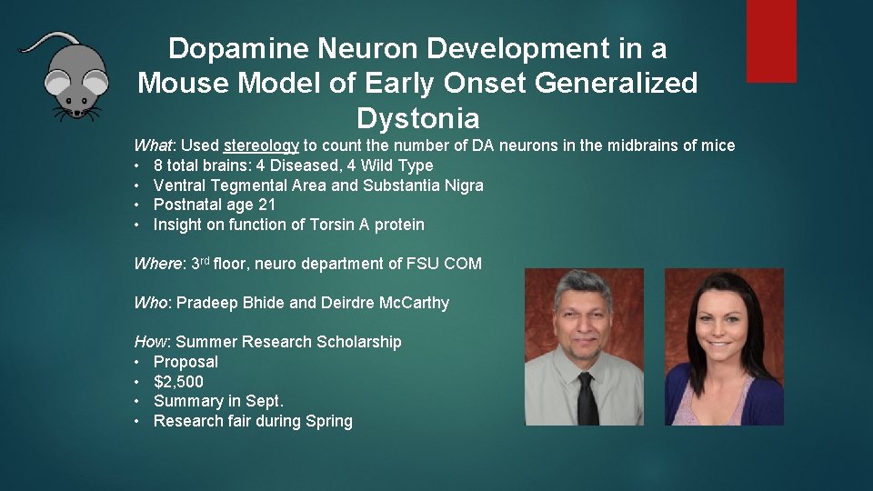 Dopamine Neuron Development in a Mouse Model of Early Onset Generalized Dystonia What: Used Dopamine Neuron Development in a Mouse Model of Early Onset Generalized Dystonia What: Used