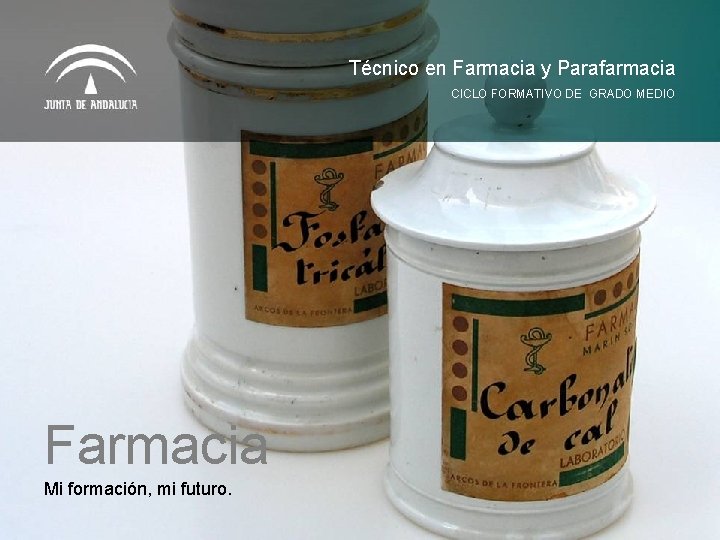 Técnico en Farmacia y Parafarmacia CICLO FORMATIVO DE GRADO MEDIO Farmacia Mi formación, mi