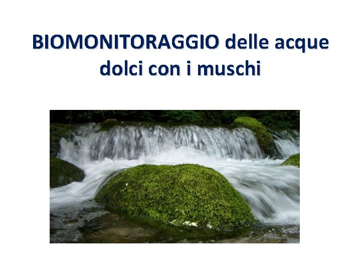 BIOMONITORAGGIO delle acque dolci con i muschi 