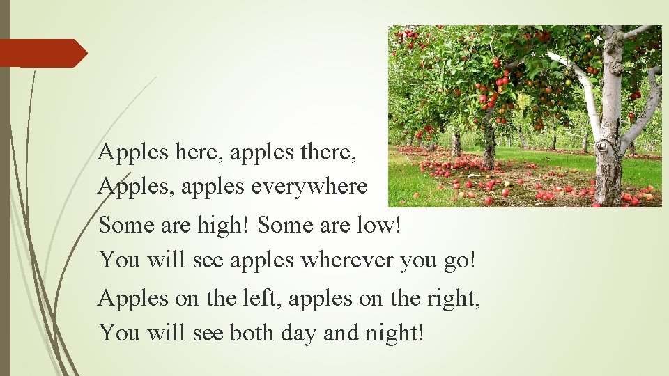 Apples here, apples there, Apples, apples everywhere Some are high! Some are low! You