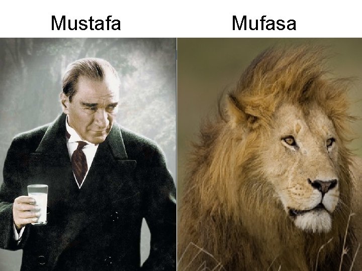 Mustafa 13 Mufasa 