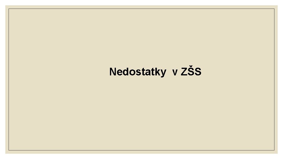  Nedostatky v ZŠS 