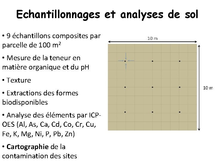 Echantillonnages et analyses de sol • 9 échantillons composites parcelle de 100 m 2