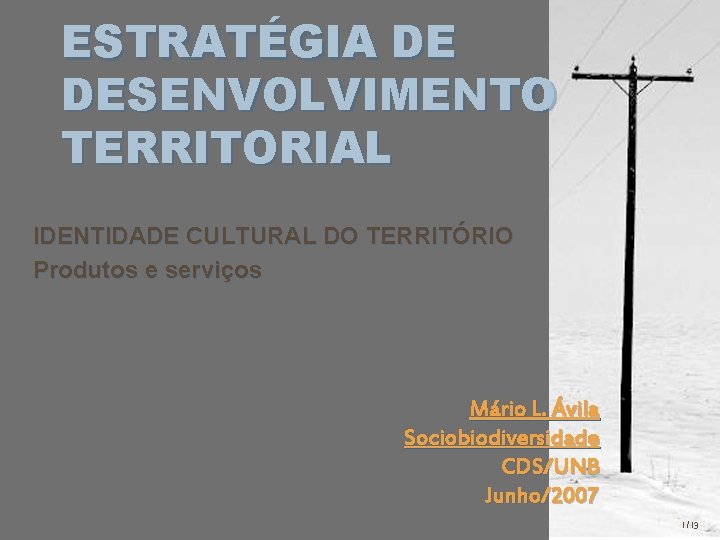 ESTRATÉGIA DE DESENVOLVIMENTO TERRITORIAL IDENTIDADE CULTURAL DO TERRITÓRIO Produtos e serviços Mário L. Ávila