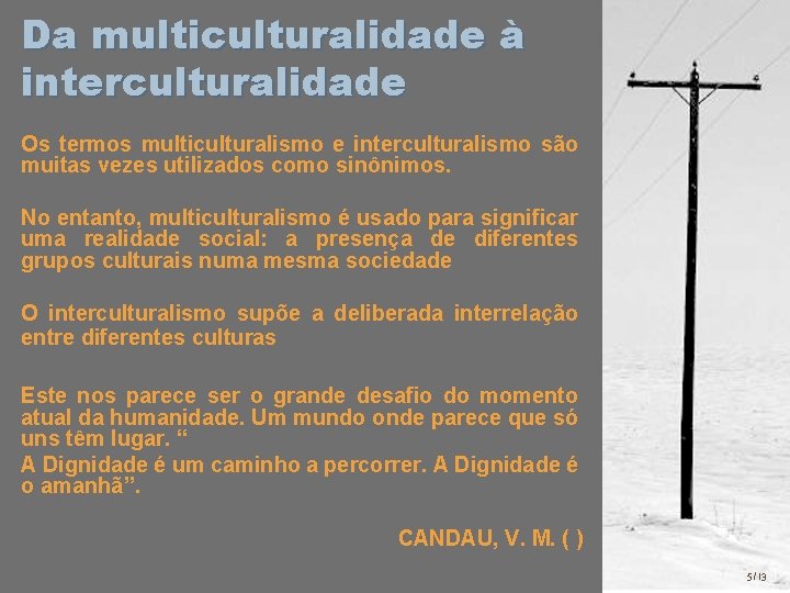 Da multiculturalidade à interculturalidade Os termos multiculturalismo e interculturalismo são muitas vezes utilizados como