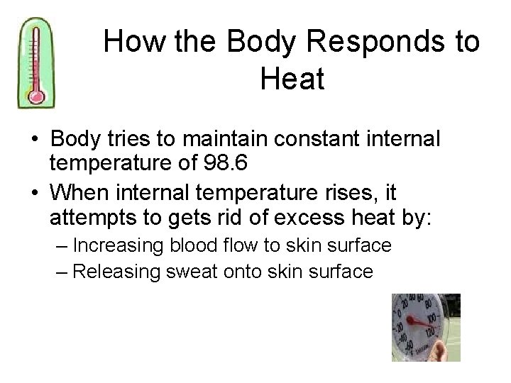 How the Body Responds to Heat • Body tries to maintain constant internal temperature