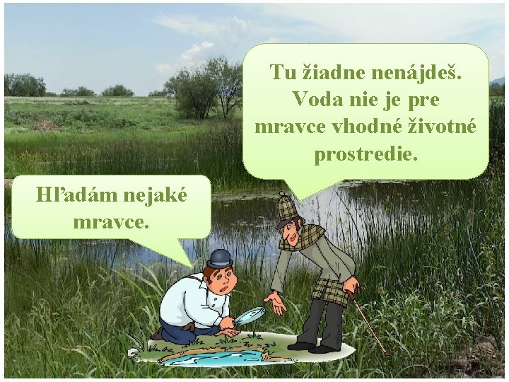 Tu žiadne nenájdeš. Voda nie je pre mravce vhodné životné prostredie. Hľadám nejaké mravce.