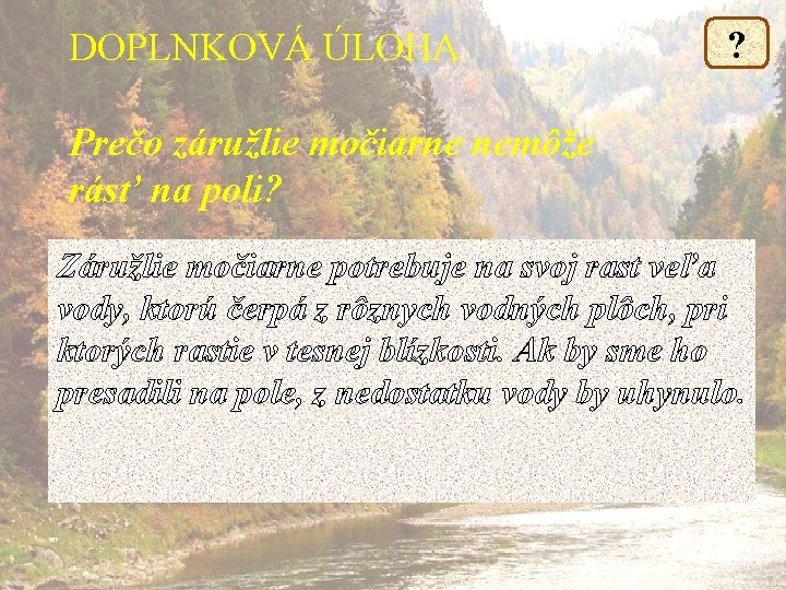 DOPLNKOVÁ ÚLOHA ? Prečo záružlie močiarne nemôže rásť na poli? Záružlie močiarne potrebuje na